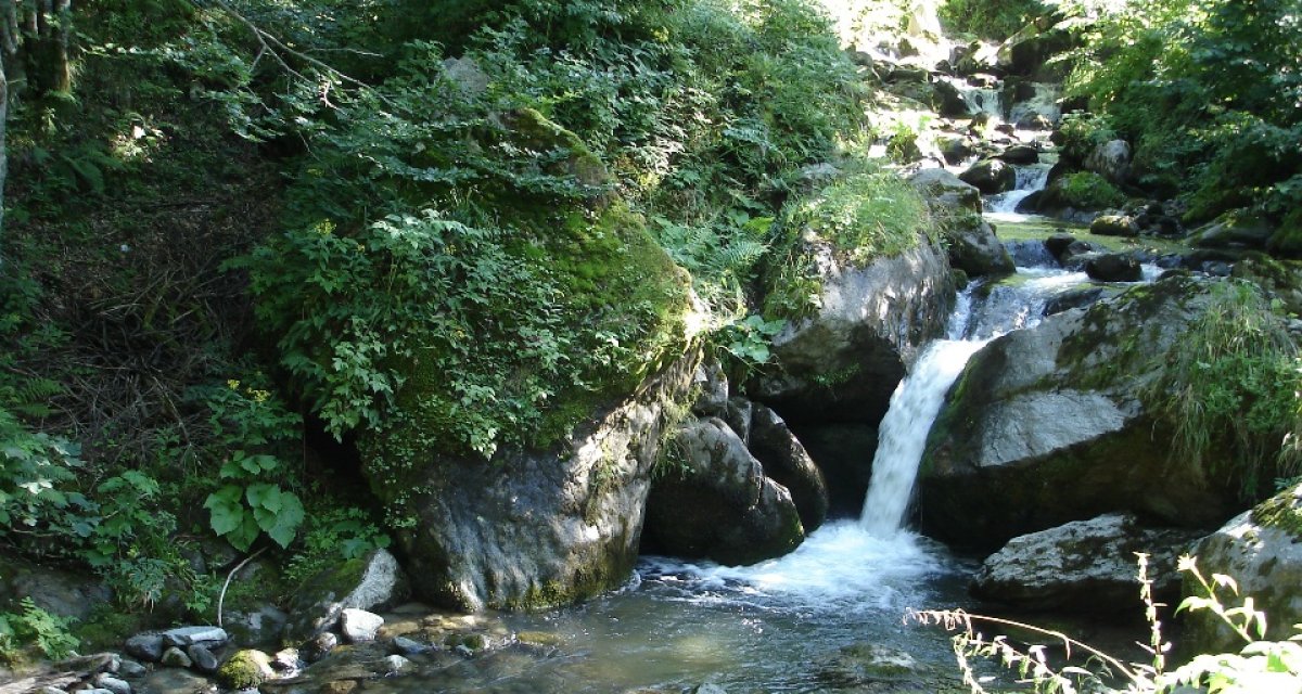 24ee92968997819bb15d9fd96e85968e