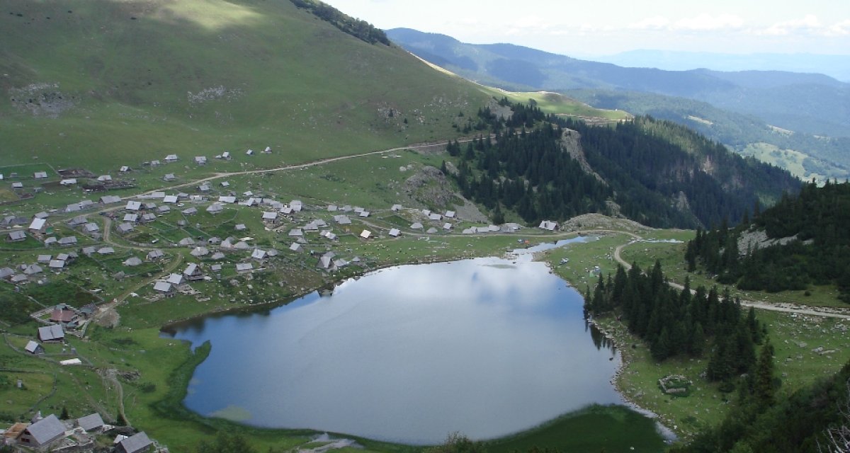 c620315450ba121ef4076d80905995fd