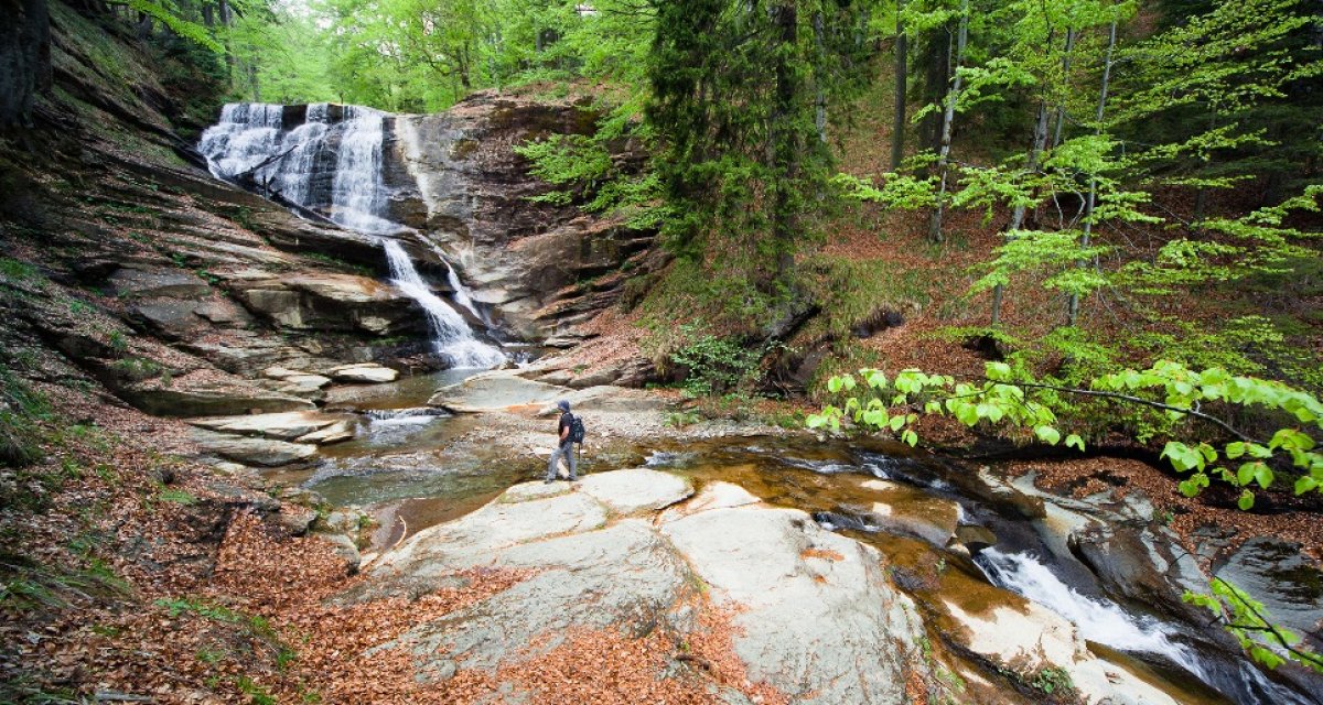 d85ebb3c95917b5207352cf446eef7ff